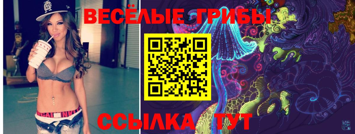 Галлюциногенные грибы мицелий Новоалександровск
